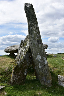 In a Different Light