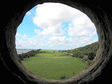 Looking North from Gun Loop