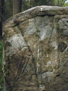 Angel Inscribed on the Front Face