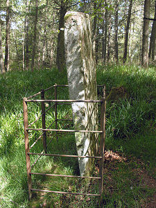 Side View of the Stone