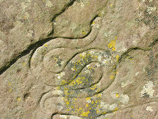 Snake Carved on Rear Face