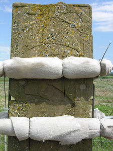 Upper Part of the Rear Face