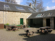 Courtyard and Plant Sales