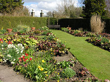 Bergernia Collection