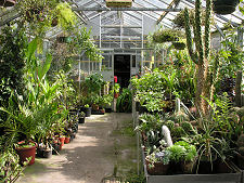 Greenhouse