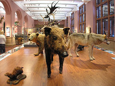 Creatures of the Past