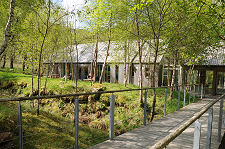 A View of Some of the Buildings