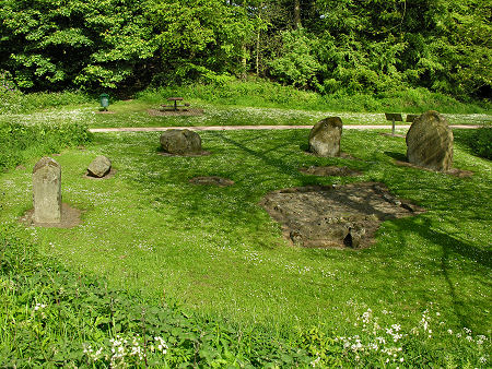 The Circle From the South