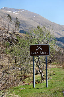 Looking Up the Glen
