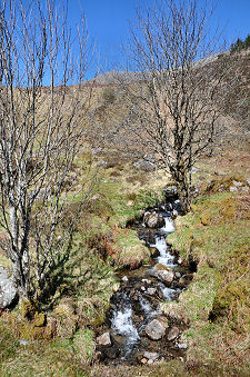 Stream on North Side of Glen