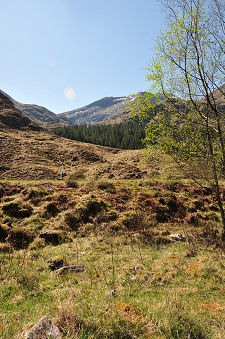The South Side of the Glen