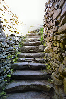 Looking Up the Steps