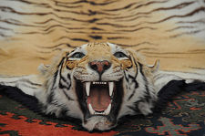 Tigerskin Rug