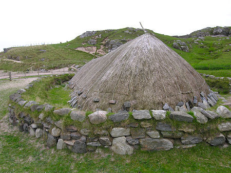 View from the Rear of the House