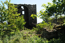 West Side & Encroaching Vegetation