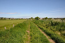 The Track from Gullane
