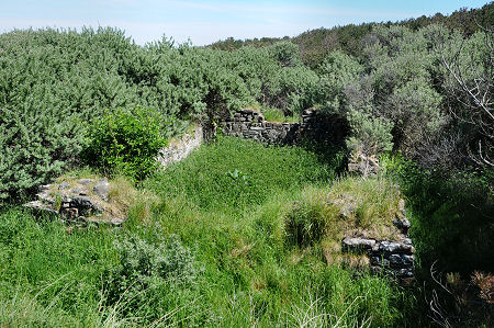 St Patrick's Chapel from the South