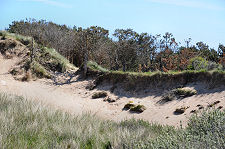 Huge Dunes