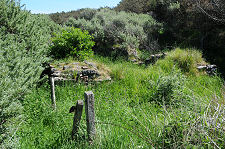 The Chapel from the South-West