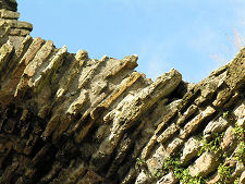 Closer View of Vaulting