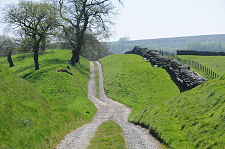 Farm Track Along the Vallum