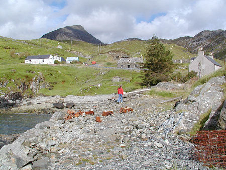 The Settlement Seen from the Harbourside