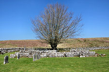Chapel Ruins from the South
