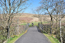 Footbridge Over Hermitage Water