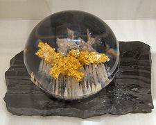 Strath Kildonan Gold at Timespan