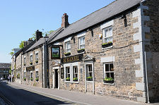 The Black Bull