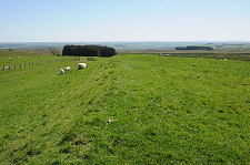Traces of Carrawburgh Fort