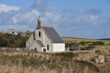 Seen Along the Shore