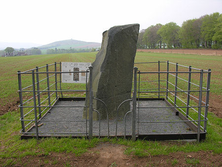 The Picardy Stone from the North with the Dunnideer Hilfort in the Distance