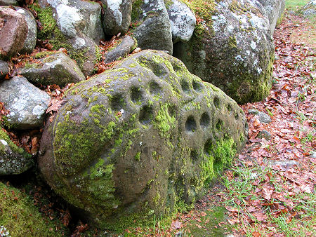 Cup Marks on Rock