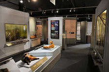 Highland Habitats and Wildlife