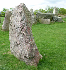 South Side of the Circle