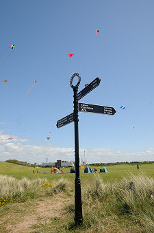 Kite Flying Near the Beach