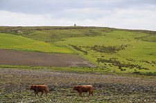 Glimpse of Monument from Car Park