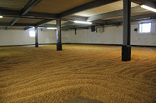 The Floor Maltings