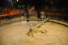 Inside the Mash Tun