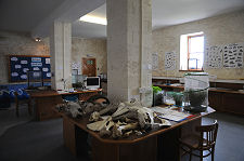 View of the Largest Room