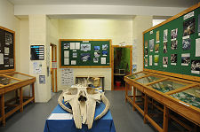 The Marine Environment