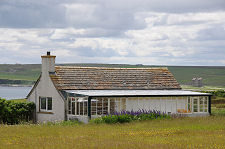 Cottage and Conservatory