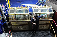 Looking Down on the Spirit Safe