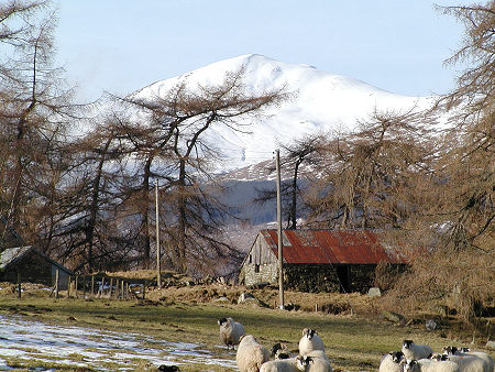 Ben Lawers Viewed from the South Side of Loch Tay