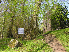 Castle Glimpsed from the Road