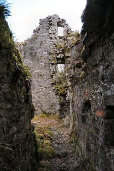 Inside the Castle