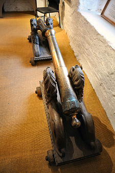 Pair of Cannons