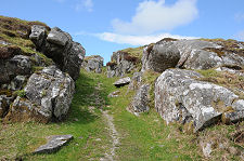 Looking Up the Rocky Defile