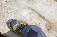 About a Size Eight...